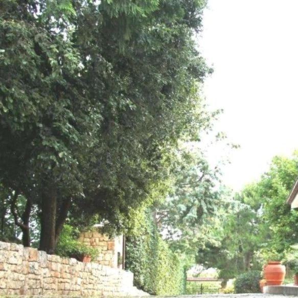 Casa Marisa Villa Vacanza 카스텔라나그로테 외부 사진