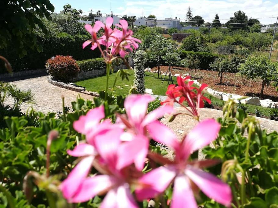 Casa Marisa Villa Vacanza 카스텔라나그로테 외부 사진
