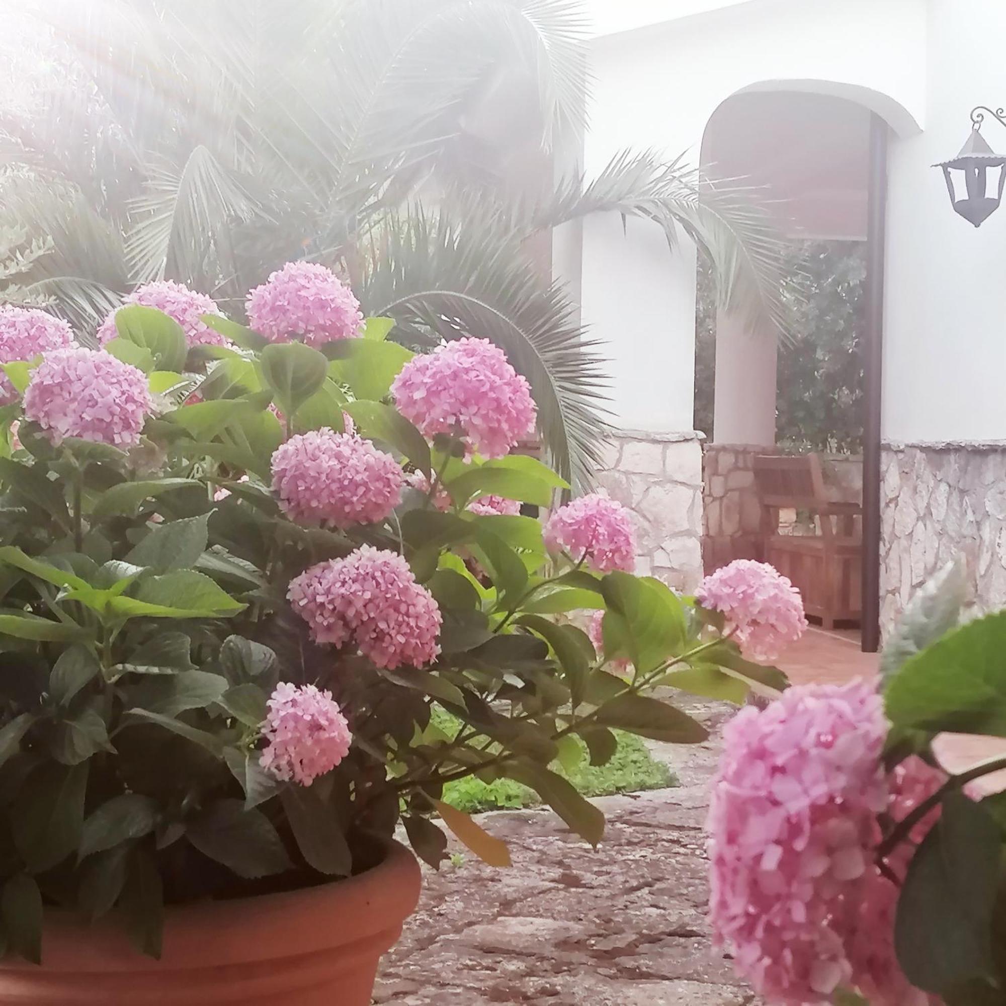 Casa Marisa Villa Vacanza 카스텔라나그로테 외부 사진