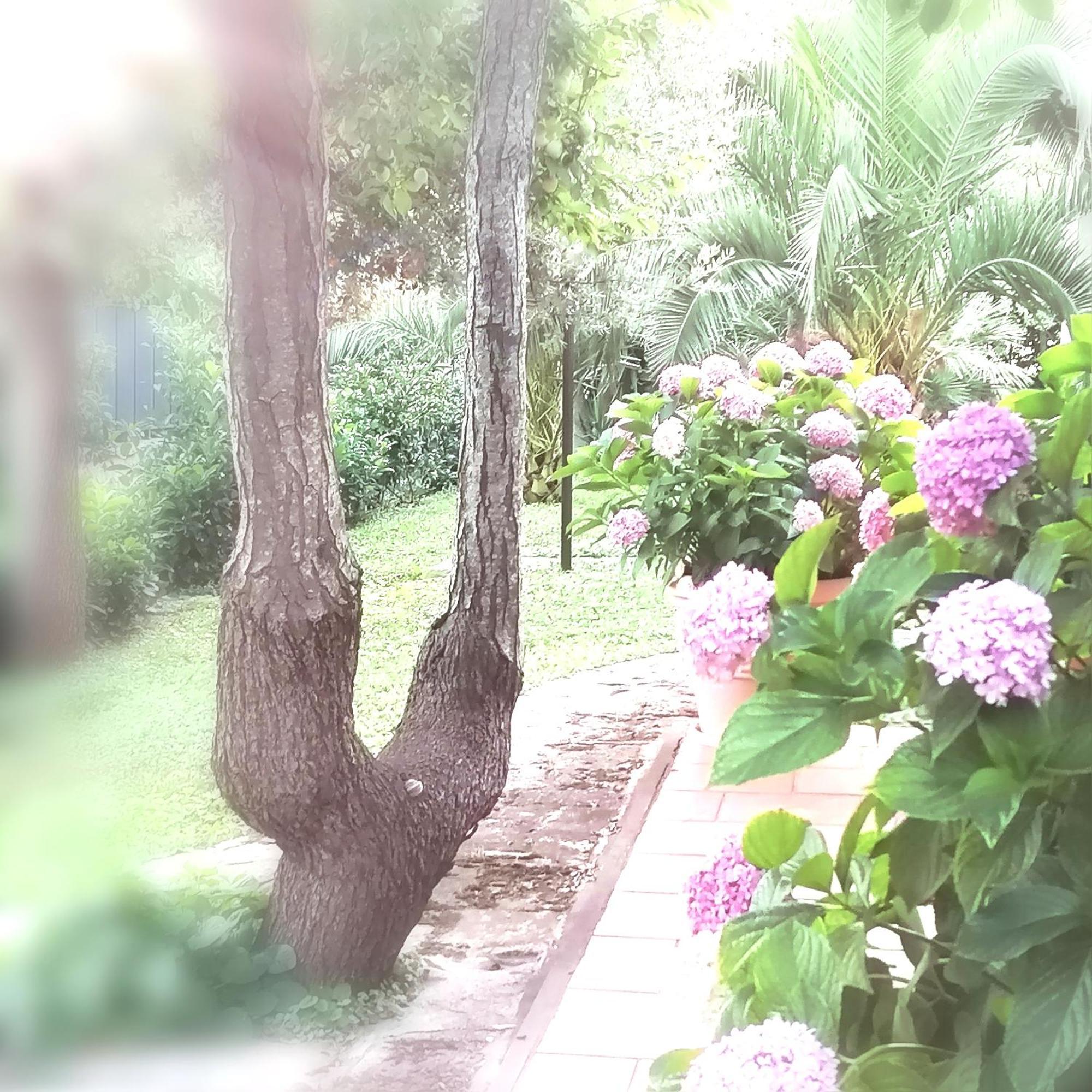 Casa Marisa Villa Vacanza 카스텔라나그로테 외부 사진